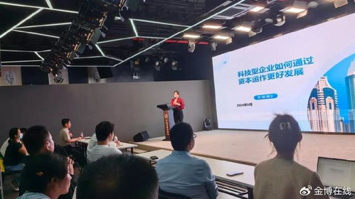 科技型企業如何通過資本運作實現高質量發展——以網絡科技技術開發與運營為例