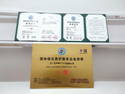 一站式商務服務 上海市營業執照與代碼證代辦、代理記賬及商務代理